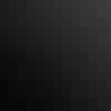 Matte Black sample.