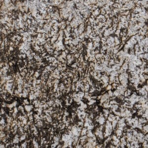 Arieswhite01 01cu