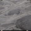 Cavendish2689 18h