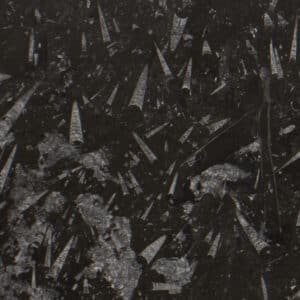 Fossilblack066 12cu