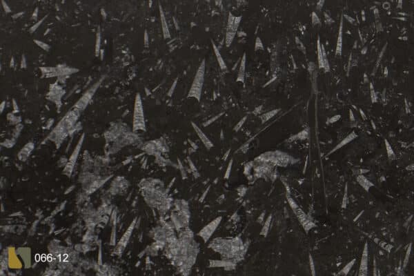 Fossilblack066 12cu