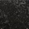 Fossilblack066 12h
