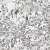 Sparklegray235 01cu
