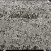 Sparklegray43 27h