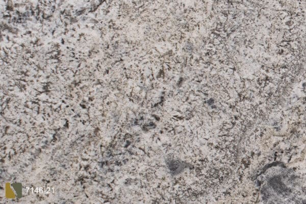 Sparklegray7146 21cu